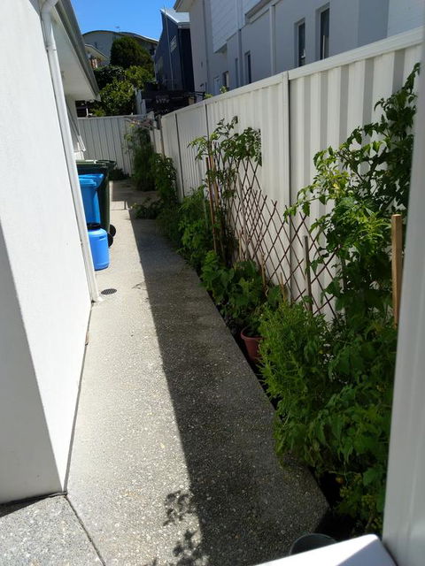 C'est La Vie - Accommodation Sunshine Coast 2