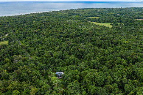 Cape Tribulation Holiday House - Accommodation Sunshine Coast 1