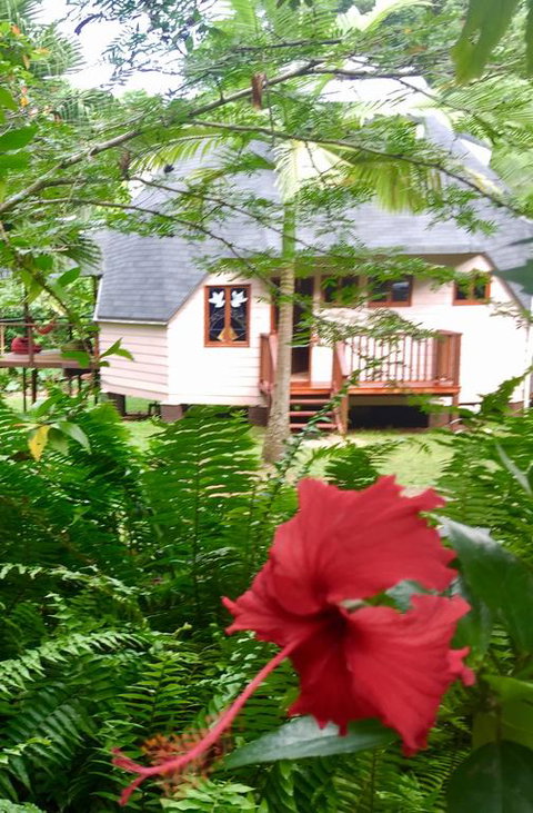 Cape Tribulation Holiday House - Accommodation Sunshine Coast 3