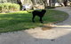 Captain's Cottage Bed & Breakfast - thumb 2