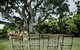 Cedia At Byron Bay Hinterland - thumb 3