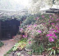 Charming country house close to Grafton - Accommodation Sunshine Coast