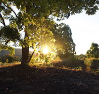 Clarendon Forest Retreat - Accommodation Sunshine Coast