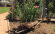 Club Boutique Hotel Cunnamulla - thumb 3