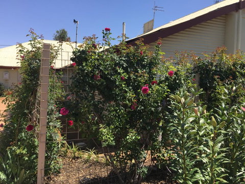 Club Boutique Hotel Cunnamulla - Accommodation Sunshine Coast 2