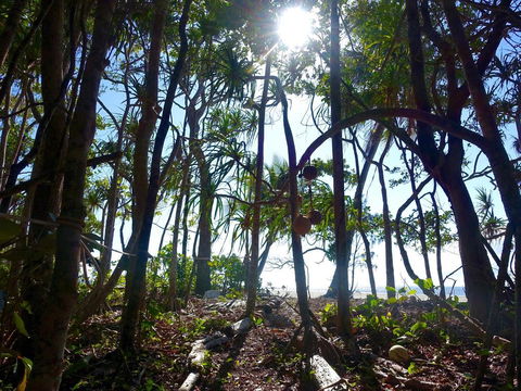 Coconut Beach House - Accommodation Sunshine Coast 2
