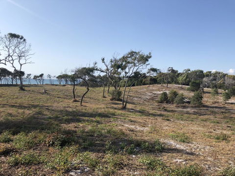 COONARR BEACH ( BUNDABERG )CAMPING - Accommodation Sunshine Coast 2