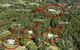 Cooroy Country Cottages - thumb 0
