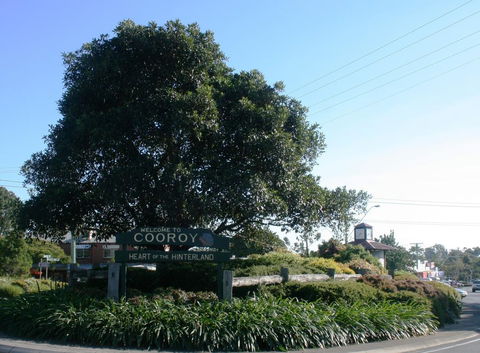 Cooroy Luxury Motel Apartments - Accommodation Sunshine Coast 2