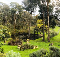 Countryside Retreat Intimate Studio Hepburn - Daylesford - Accommodation Sunshine Coast