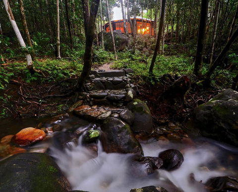 Daintree Cascades - Accommodation Sunshine Coast 0