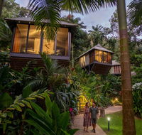 Daintree Ecolodge - Accommodation Sunshine Coast