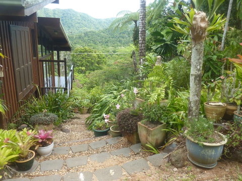 Daintree Holiday Homes - The Folly - Accommodation Sunshine Coast 0