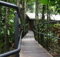 Daintree Wilderness Lodge - Accommodation Sunshine Coast