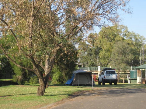 Dalby Tourist Park - Accommodation Sunshine Coast 3