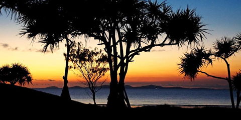 Driftwood Motel And Holiday Units - Accommodation Sunshine Coast 2