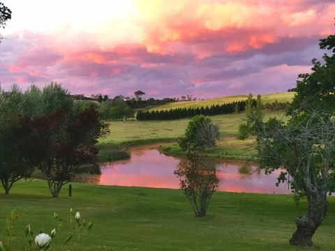 Eling Forest Winery - Accommodation Sunshine Coast 0