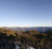 Elkhorn 7 - Accommodation Sunshine Coast
