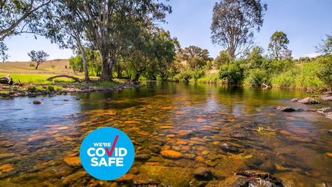 Elm Cottage - Accommodation Sunshine Coast 1