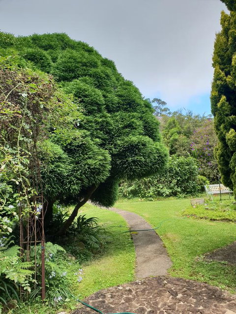 English Gardens - Forest Spa Suite - Accommodation Sunshine Coast 0