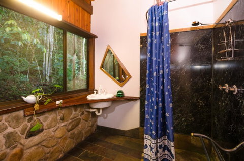 Epiphyte B & B - Accommodation Sunshine Coast 1