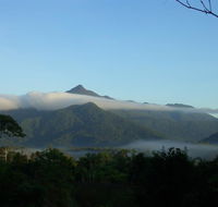 Epiphyte B  B - Accommodation Sunshine Coast