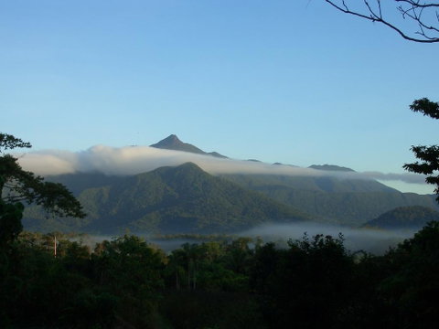 Epiphyte B & B - Accommodation Sunshine Coast 0