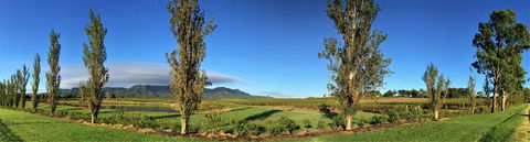 Estate Tuscany - Accommodation Sunshine Coast 1