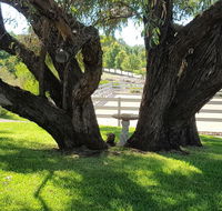 Farm Stay Studio - Accommodation Sunshine Coast