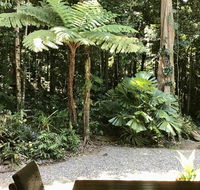 Forest Views Daintree - Accommodation Sunshine Coast