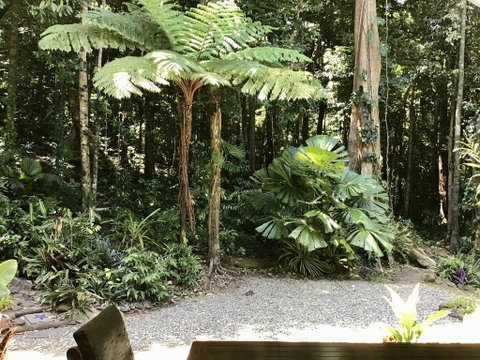 Forest Views Daintree - Accommodation Sunshine Coast 0