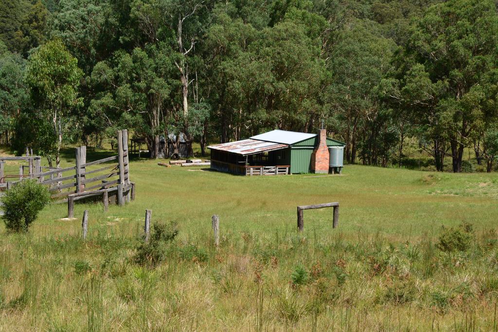 Forest Land NSW Accommodation Sunshine Coast