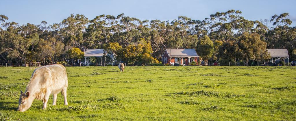 Freshwater Creek VIC Accommodation Sunshine Coast