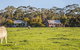 Freshwater Creek Cottages & Farm Stay - thumb 0