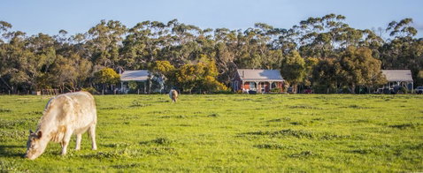 Freshwater Creek Cottages & Farm Stay - Accommodation Sunshine Coast 0