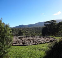 Hawksview at Mafeking - Accommodation Sunshine Coast