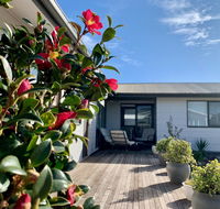 Homely Getaways in Surf Beach - Pet Friendly - Accommodation Sunshine Coast