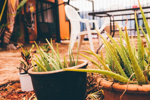 JJs Backpackers Hostel - Accommodation Sunshine Coast 2