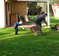 Kalgan River Chalets and Caravan Park - Accommodation Sunshine Coast