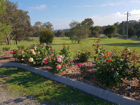Kandos Fairways Motel - Accommodation Sunshine Coast 2