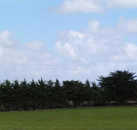 Karingal Homestead BB - Accommodation Sunshine Coast