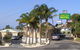 Koala Tree Motel - thumb 1