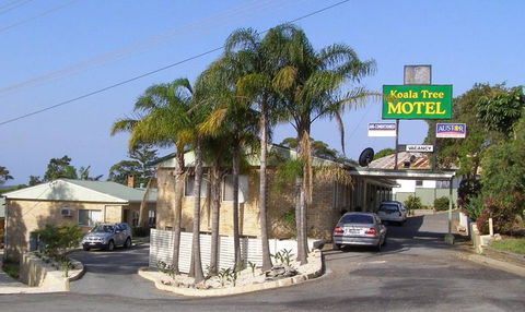 Koala Tree Motel - Accommodation Sunshine Coast 1