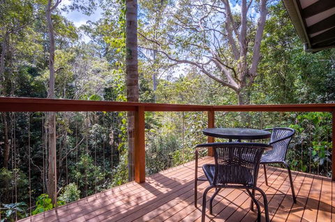 Kondalilla Eco Resort - Accommodation Sunshine Coast 3