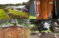 Book Kongwak Accommodation Vacations Accommodation Sunshine Coast Accommodation Sunshine Coast