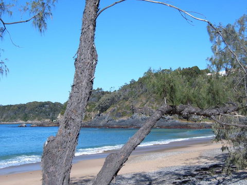 Korora Bay Beach House - Accommodation Sunshine Coast 2