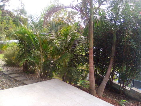 Korora Guest House - Accommodation Sunshine Coast 2
