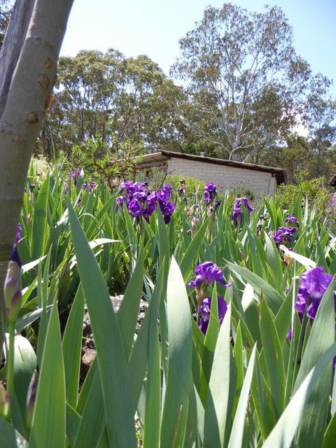 Lakeside Lodge Armidale - Accommodation Sunshine Coast 3