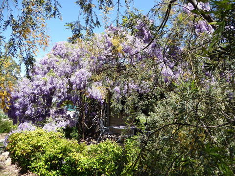 Lakeside Lodge Armidale - Accommodation Sunshine Coast 1