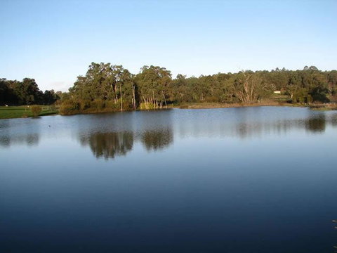 Lakeview Lodge - Accommodation Sunshine Coast 1